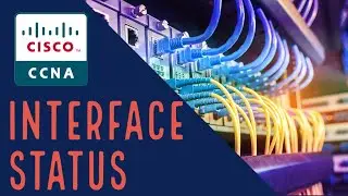Cisco CCNA Checking Interface Status (Cisco Packet Tracer)