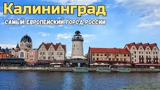 Первый раз в Калининграде | Что посмотреть,  куда сходить