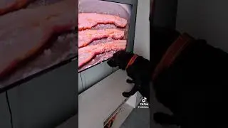 Can you trick your dog into doing this?