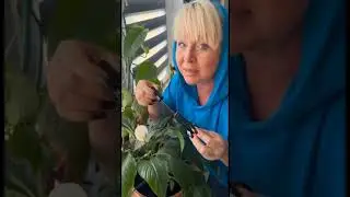 Как мне лучше ? без туши или с синей тушью
