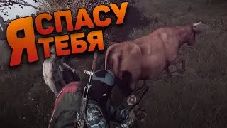 КОРОВА В ОПАСНОСТИ | (DayZ)