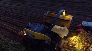 Mais hakselen s'nachts / Maize harvest at night / Maisernte bei nacht / Maisoogst / Silage