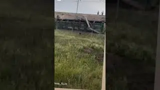 жд Крушеие . Сход подвижного состава.