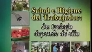 Higiene y Salud de los Trabajadores (Worker Health and Hygiene)