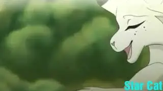 Коты воители клип молния