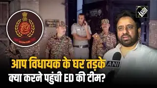 AAP विधायक Amanatullah Khan का दावा, सर्च वारेंट के नाम पर गिरफ्तार करने आयी ED, क्या बोली AAP?