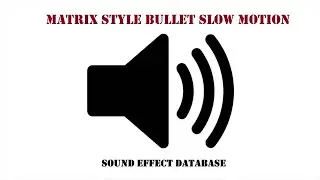 Matrix Style Bullet Slow Motion Sound Effect
