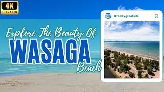 The Most Bizarre Beach Experience