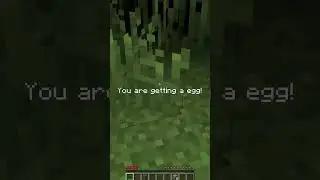 Minecraft But I'm a Chicken