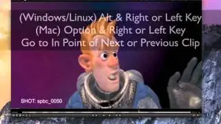 Shotgun Software Tip 17: Hotkeys In & Out Marks in RV