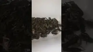 вкусняшка к пиву