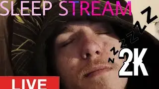 2k live sleep stream!!!!