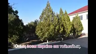 Жамбыл атындағы №5 мектеп-гимназиясы