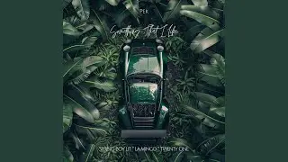 Something That I Like (STIL) (feat. Spring Boy Lit, La Mingo & Twenty One)