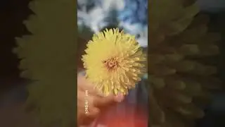 Алёна Денисова - помни #релиз #трек #музыка