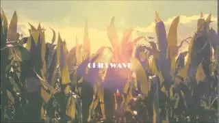 Pawlack - Palm