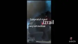 skibidi halal