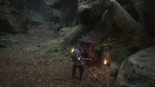 Bm wukong