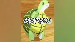 Kestrel Tapes - Galapagos [Official Audio]