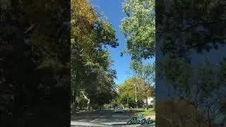 Autumn drive 😎🍁 Iniibig Kita 🎶 Cover by #Sweetnotes music. 😘