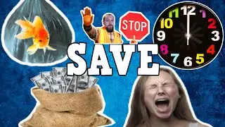 🐠Don't Make These Common Mistakes! The Biggest Fish Keeping Mistakes & How to Avoid Them!