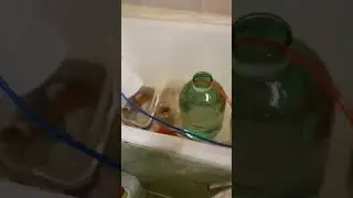#самогончик 1