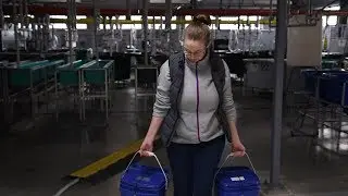 A Look Inside PNNL's Aquatic Research Laboratory