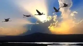 В И А  Синяя птица  КЛЕН