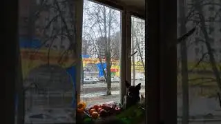 Мама сказала, ещё немного надо подождать тепла ......Позаботьтесь о своём здоровье!❤️🙏