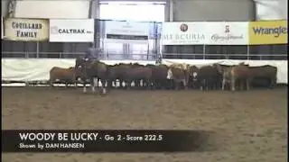 2011 STAMPEDE CUTTING - NP - 2nd go High Score