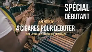 4 Cigares pour débuter 🔥🆕🛍️
