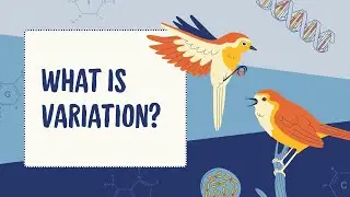 Variation| Continuous Variation and Discontinuous Variation 