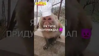 Новая серия КУХНИ? 😳 