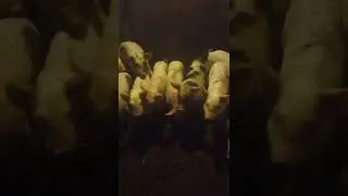 23 октября 2022 г.