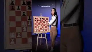 Схемка для любителей шахмат  