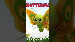 Bob Canción Abc De Animales Aprendizaje Divertido Para Niños #shorts #trending #fun #viral #musica