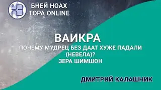 Почему мудрец без даат хуже падали (невела)? Зера Шимшон 2. Недельная глава Ваикра