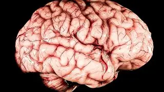 Using my Ginormous Brain to Solve Extremely Complex Puzzles | Boneworks #4