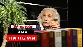Музей науки и технологии. Немецкий Архитектор Александр Бервальд и пальма Альберта Эйнштейна