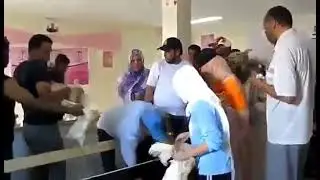 Maroc, distribution de poulet pour inciter les gens à voter !