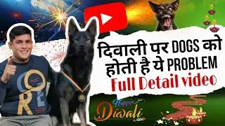 Dewali per patako ke awaj se kashe सुरक्षित रखे अपने pet को vlog #zedplusarun #zedpluskennel #diwali