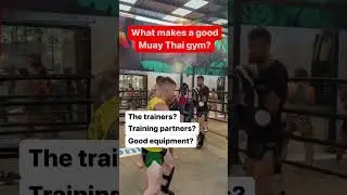 What makes a good Muay Thai gym? 