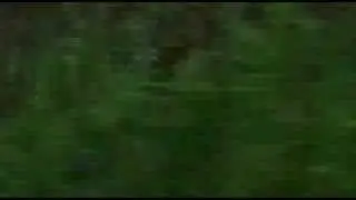 Where you End