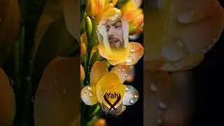 اللهم اغفر لوالدي