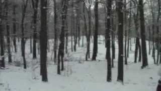 6 Výsadková brigáda