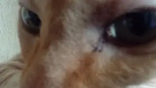 хуюдший мувик в сдандов 3