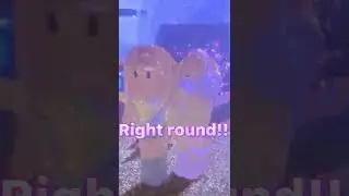 You spin my head right round 