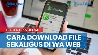 Cara Download File Sekaligus di WhatsApp Web dengan Sekali Klik