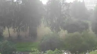 Ура! У нас дождик! Грибной!😆🍄🍄🍄