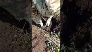 ОТКОПАЛИ ЖЕЛЕЗЯЧКУ